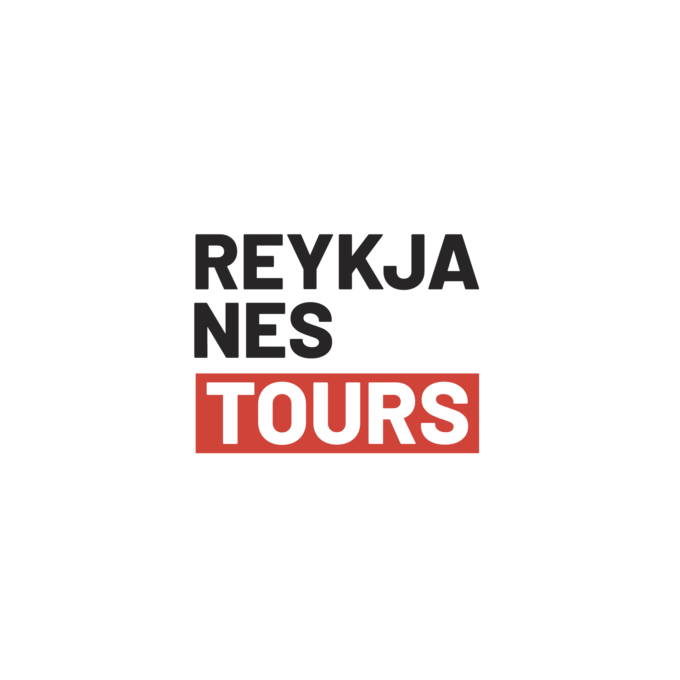 Reykjanes Tours - Lógó